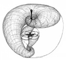 Der Spiralrhythmus der Natur
